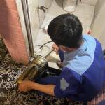 Thông Tắc Cống Việt Phát Profile Picture