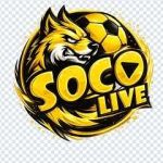 soco live Profile Picture