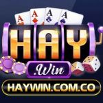 Haywin Cổng Game Profile Picture