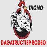 Đá gà trực tiếp Profile Picture
