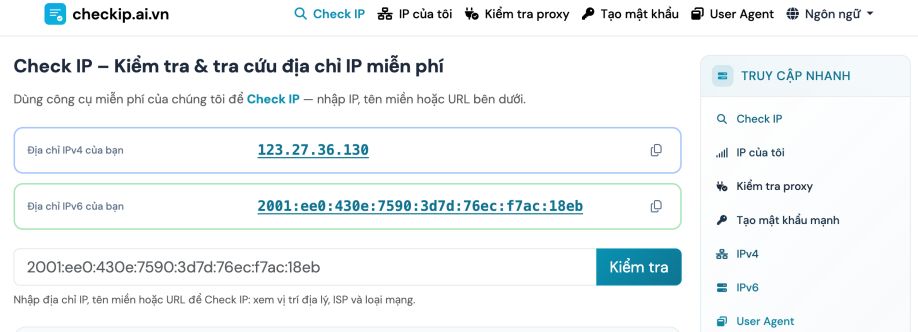 Check IP AI VN Cover Image