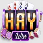 Cổng game Haywin Profile Picture