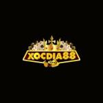 Xocdiadoithuong88 com Profile Picture