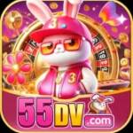 55dv Profile Picture