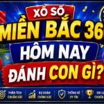 xsmb360danhcongi Profile Picture