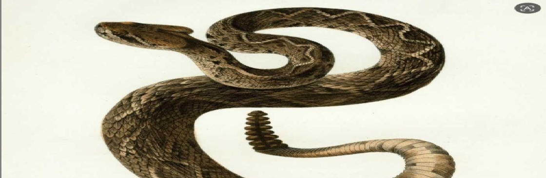 Pest And Wildlife Control Company Cover Image