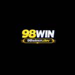 98Winvn dev Profile Picture