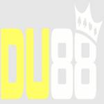 Du88 Profile Picture