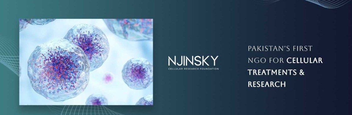 Njinsky Foundation Cover Image